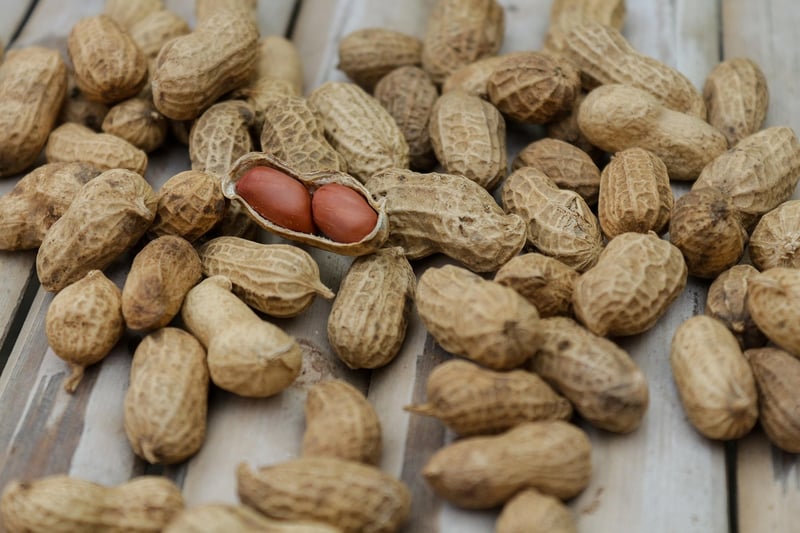 Sustainable Proteins